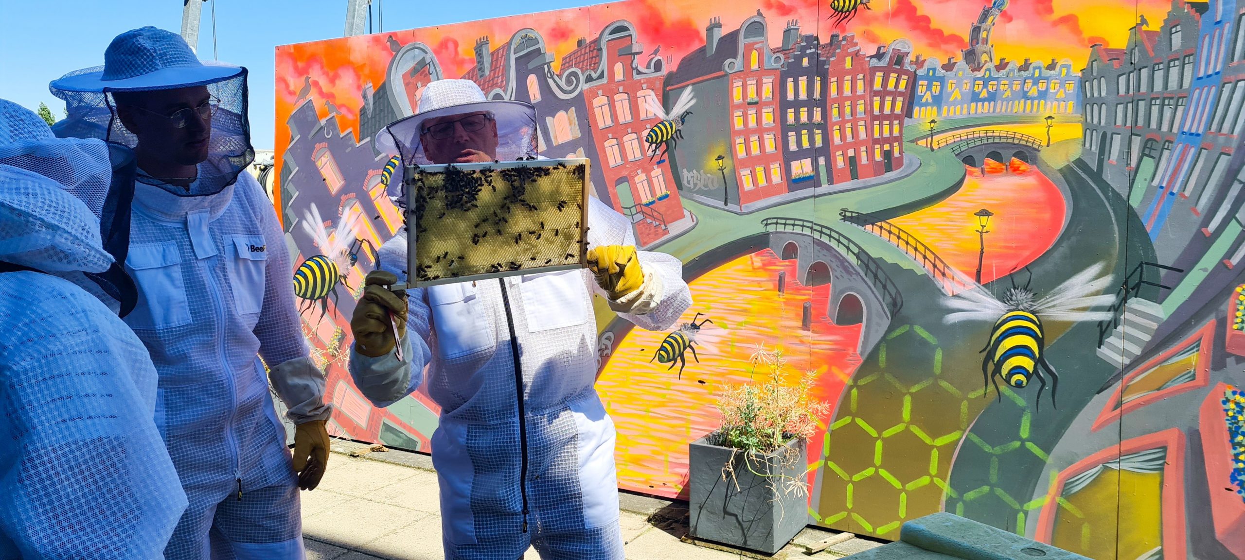 Environment Bee Working day: Satisfy Cisco’s Related Bees in Amsterdam