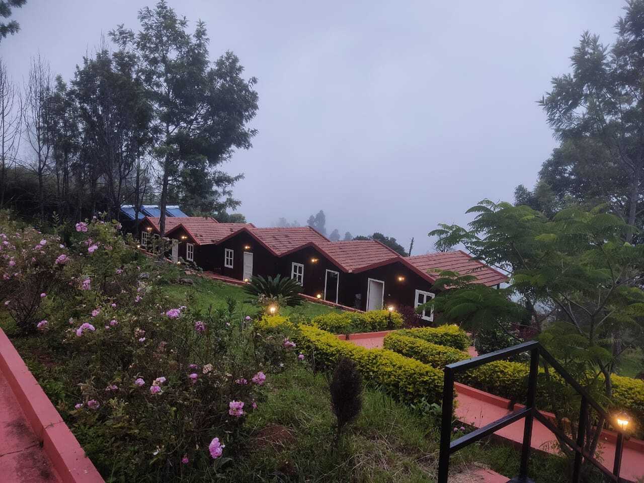 Are you looking Ooty best view hotels at a budget-friendly price?