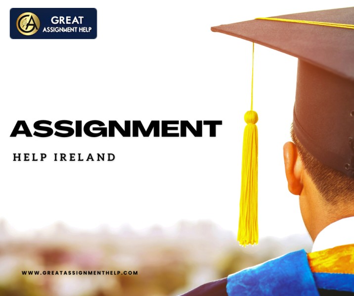 The Assignment Help Revolution In Irish Education