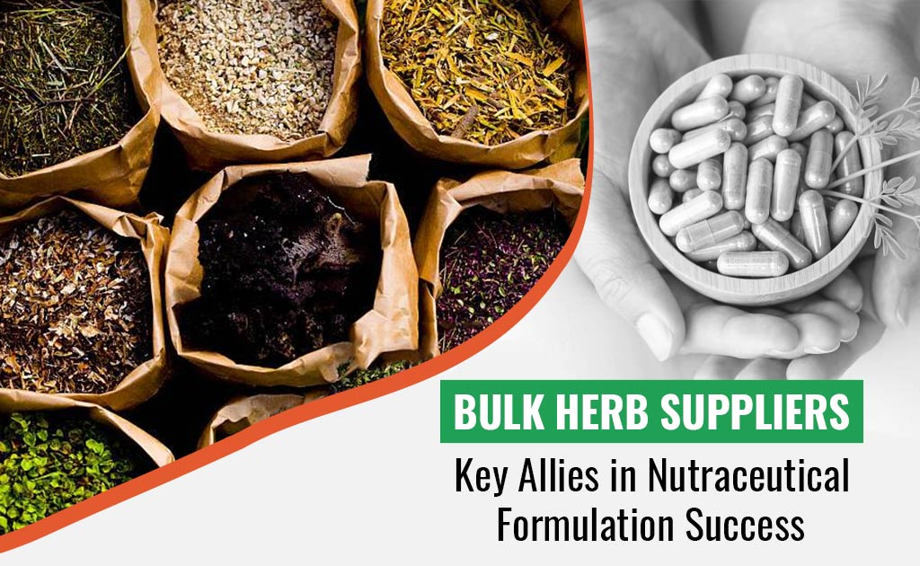 Bulk Herb Suppliers: Key Allies in Nutraceutical Formulation Success