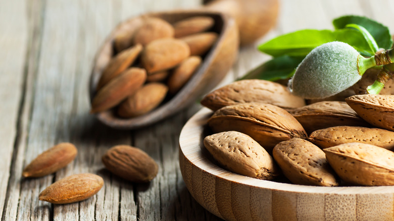 Almonds Well being Advantages For A Wholesome Life