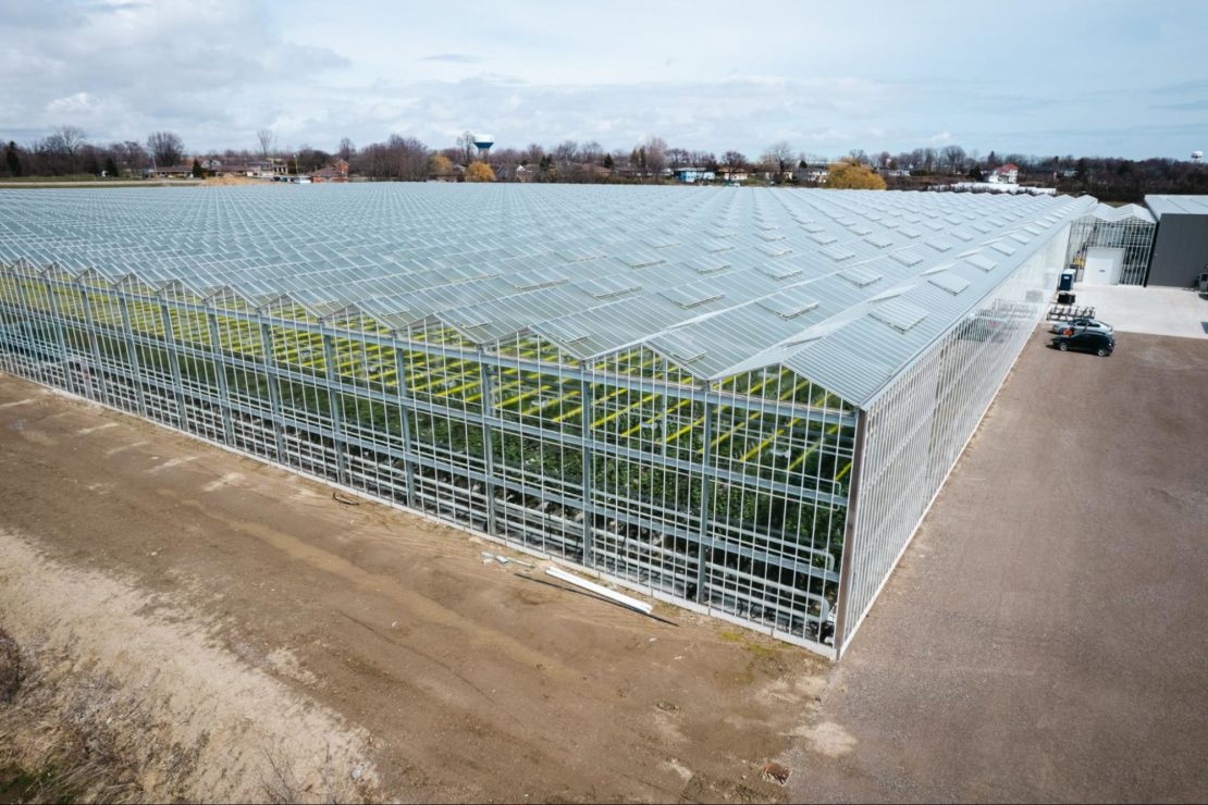 Europe Commercial Greenhouse Market Forecast Year 2032