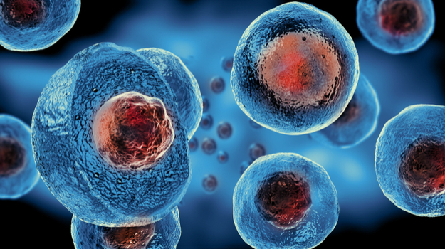 Revolutionizing Health: Long Island’s Stem Cell Breakthrough