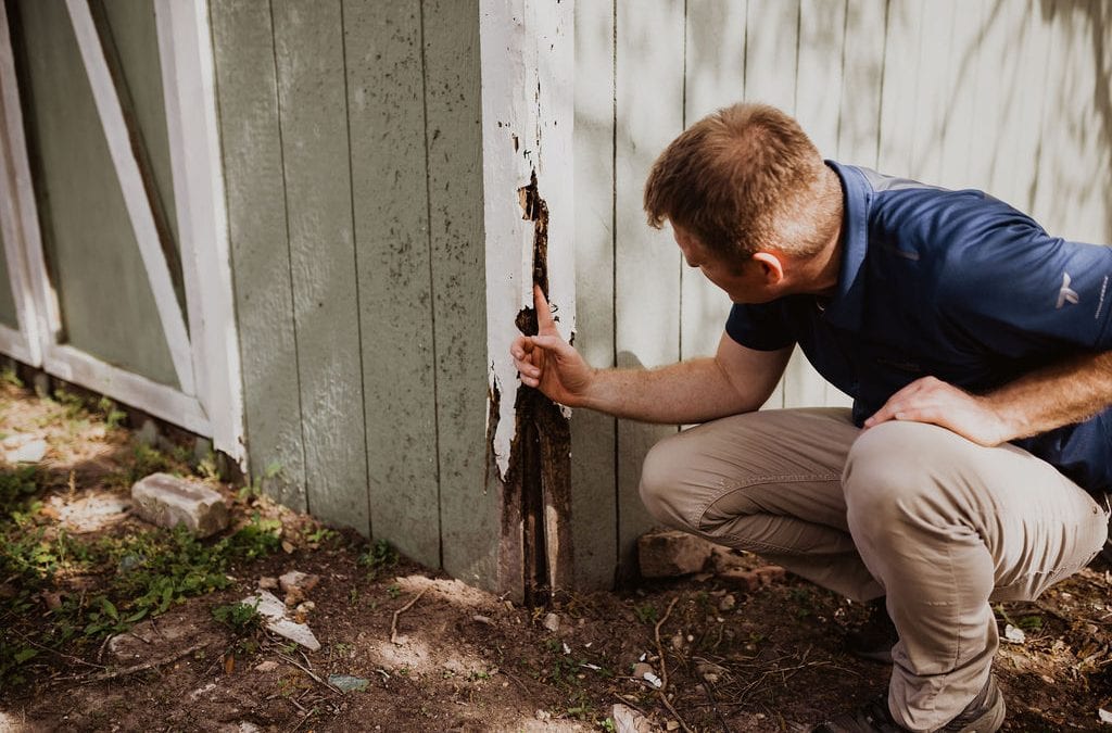 Title: Unveiling the Secrets of Termite Inspection: A Comprehensive Guide